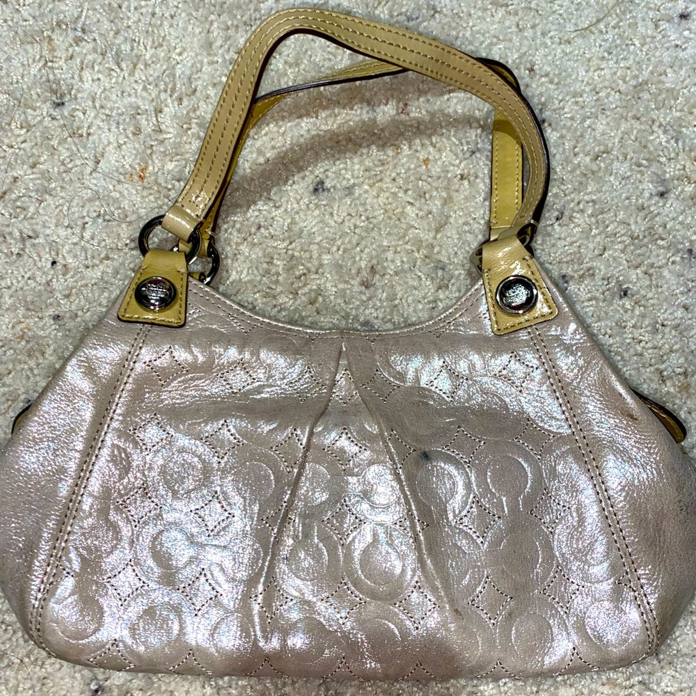 Shimmery Coach signature purse